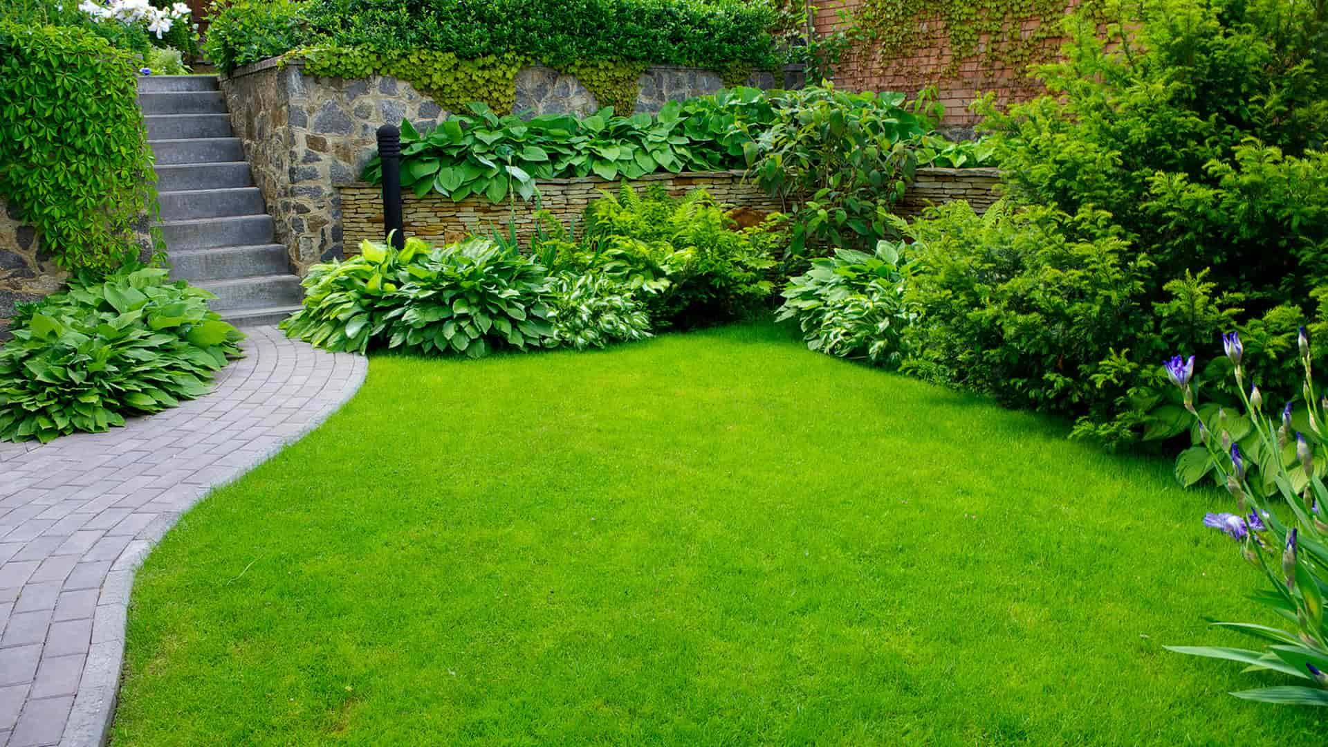 Healthy Lawn And Beds Image