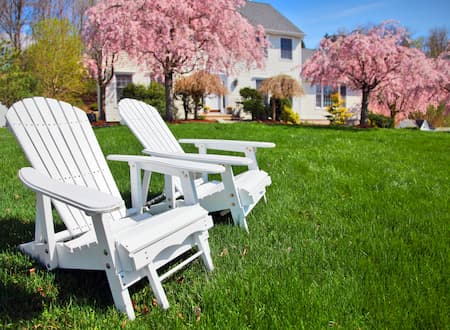 Elevate Your Outdoor Space with Expert Lawn Care Tips from Lawn Llamas Lawn Care