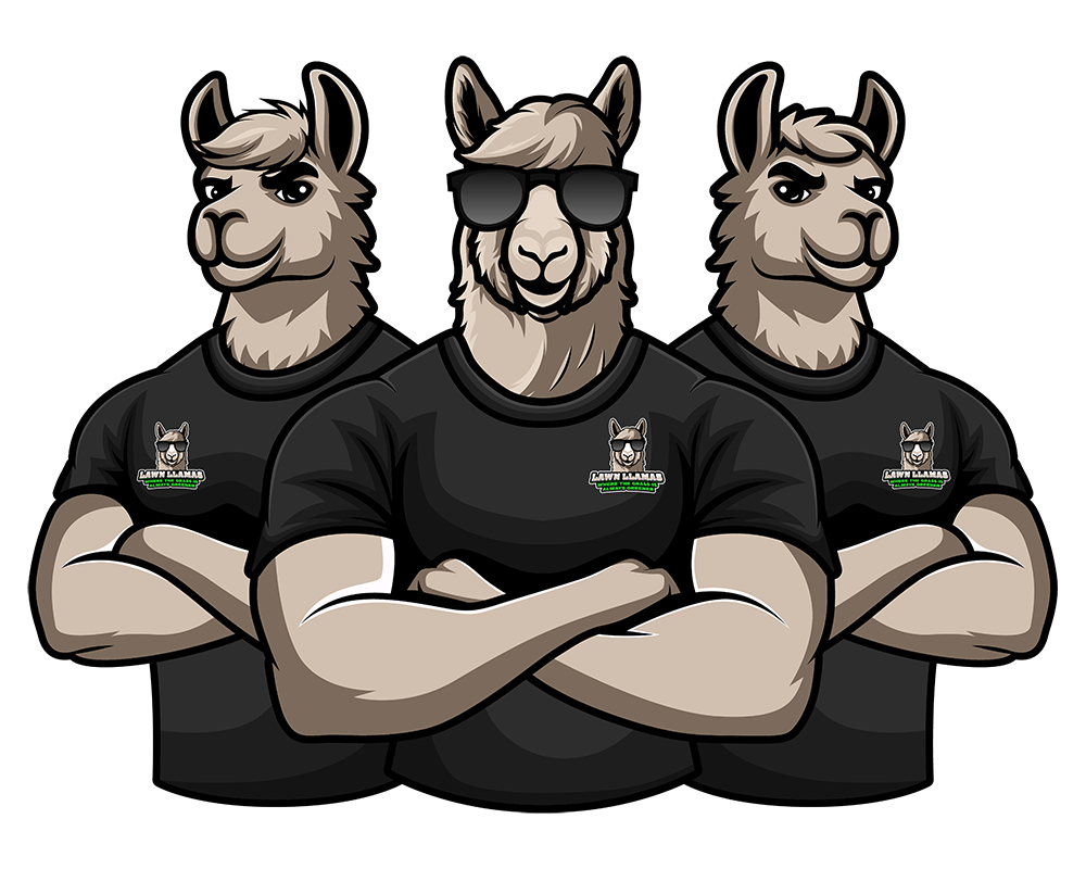 Triple Llama Mascot Image