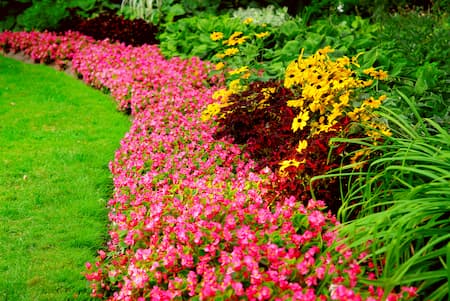 Landscape Bed Maintenance