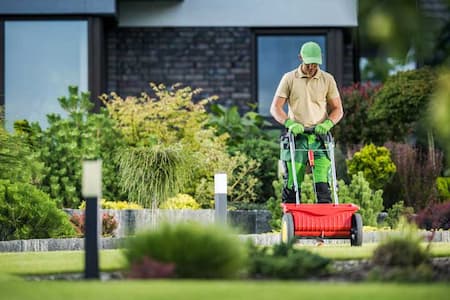 Lawn Fertilizing