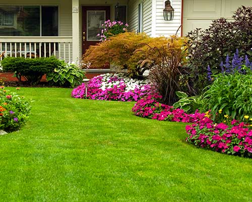 Landscape Bed Maintenance Image