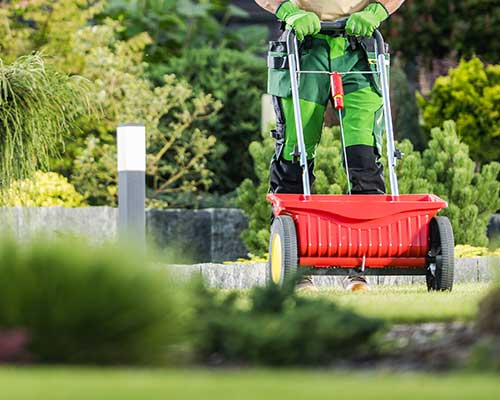 Core Aeration & Overseeding Image