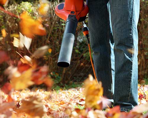 Leaf Removal Image