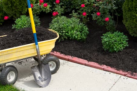 mulching-bowling-green-ky-Lawnllamas